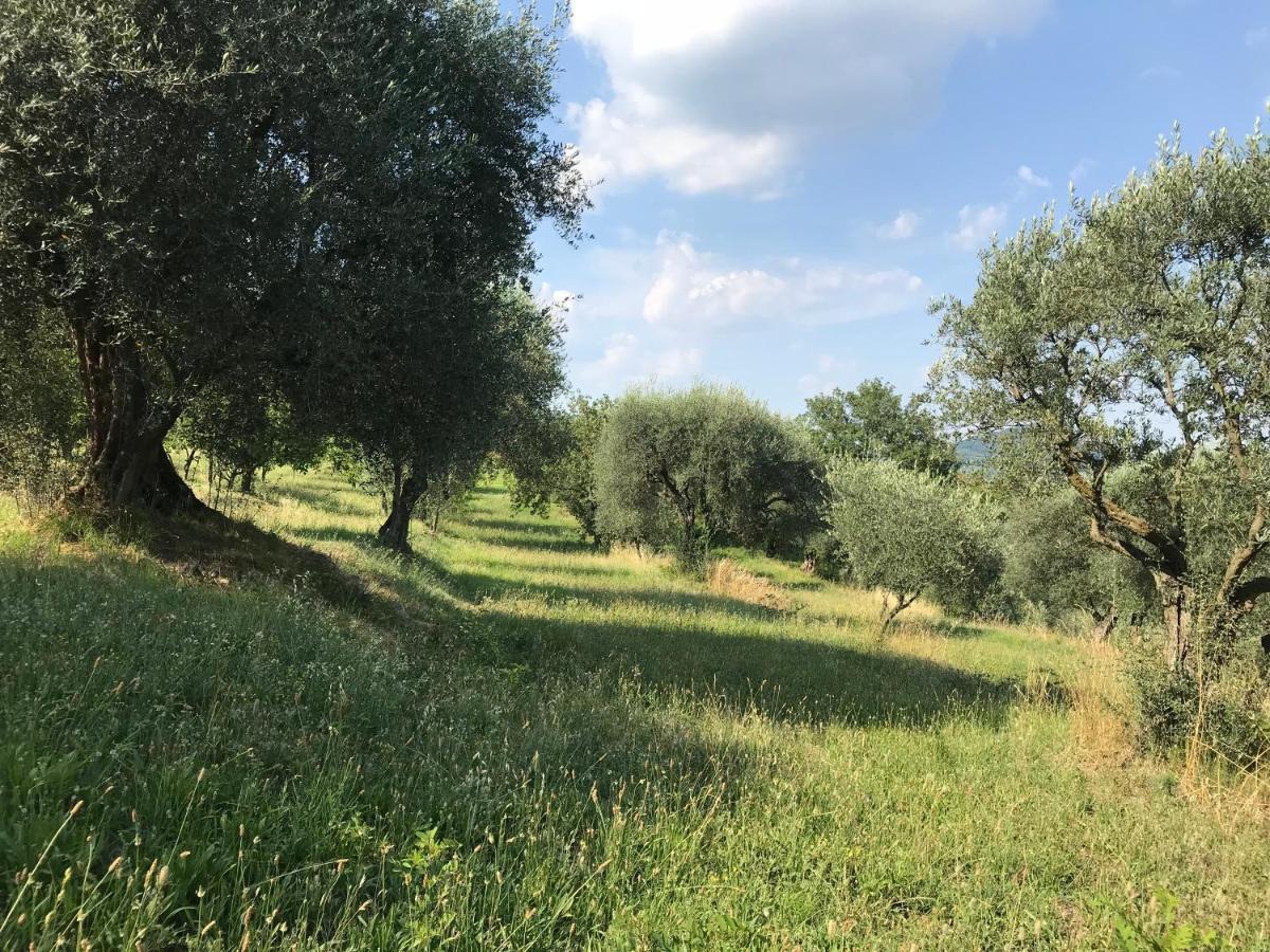 Casa Vacanze Agli Ulivi Villa Baone Dış mekan fotoğraf