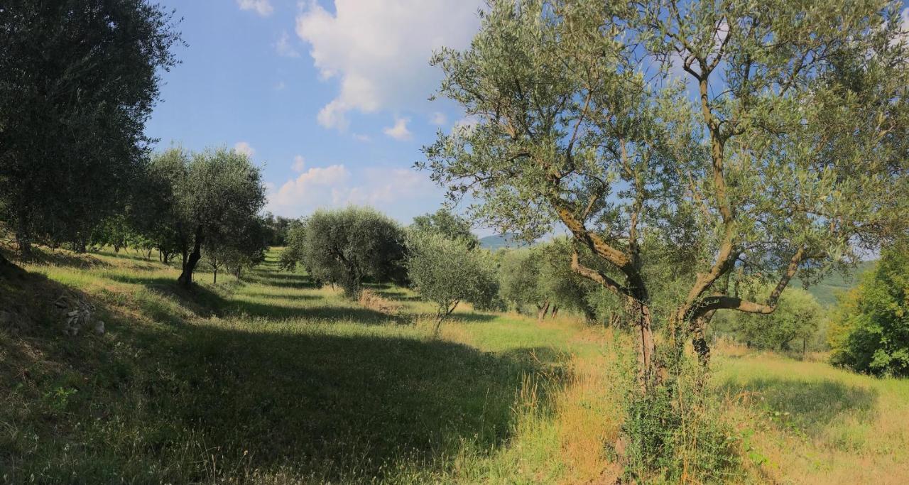 Casa Vacanze Agli Ulivi Villa Baone Dış mekan fotoğraf